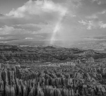 John Muir Quotes To Inspire You